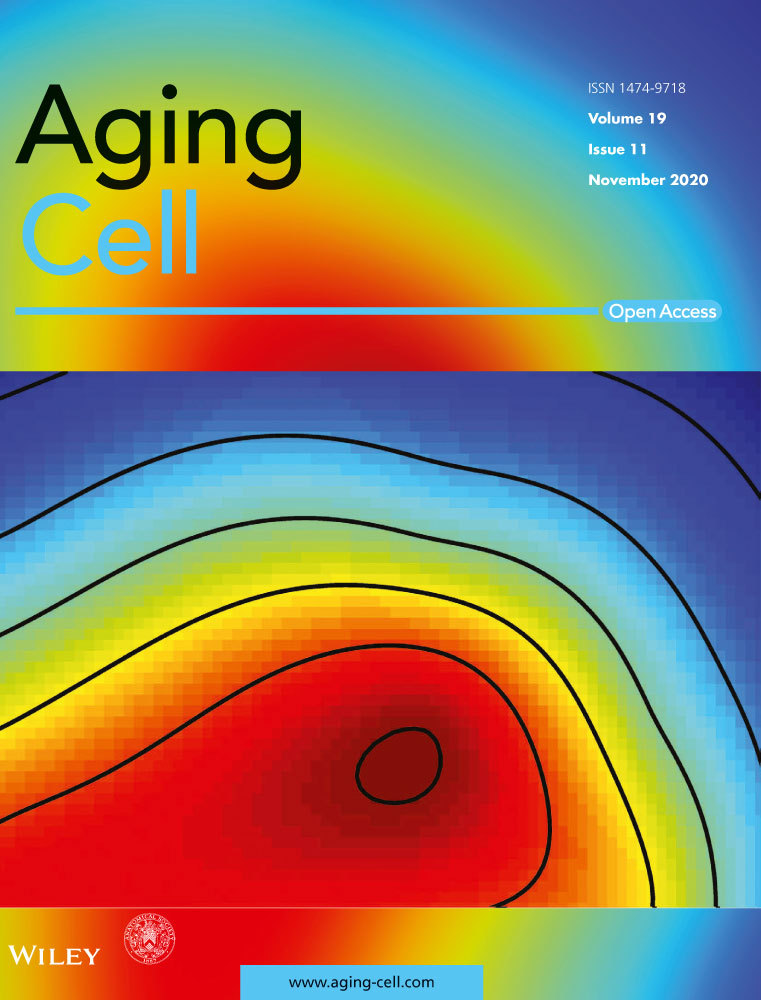 acel.v19.11.cover acel.v19.11.cover