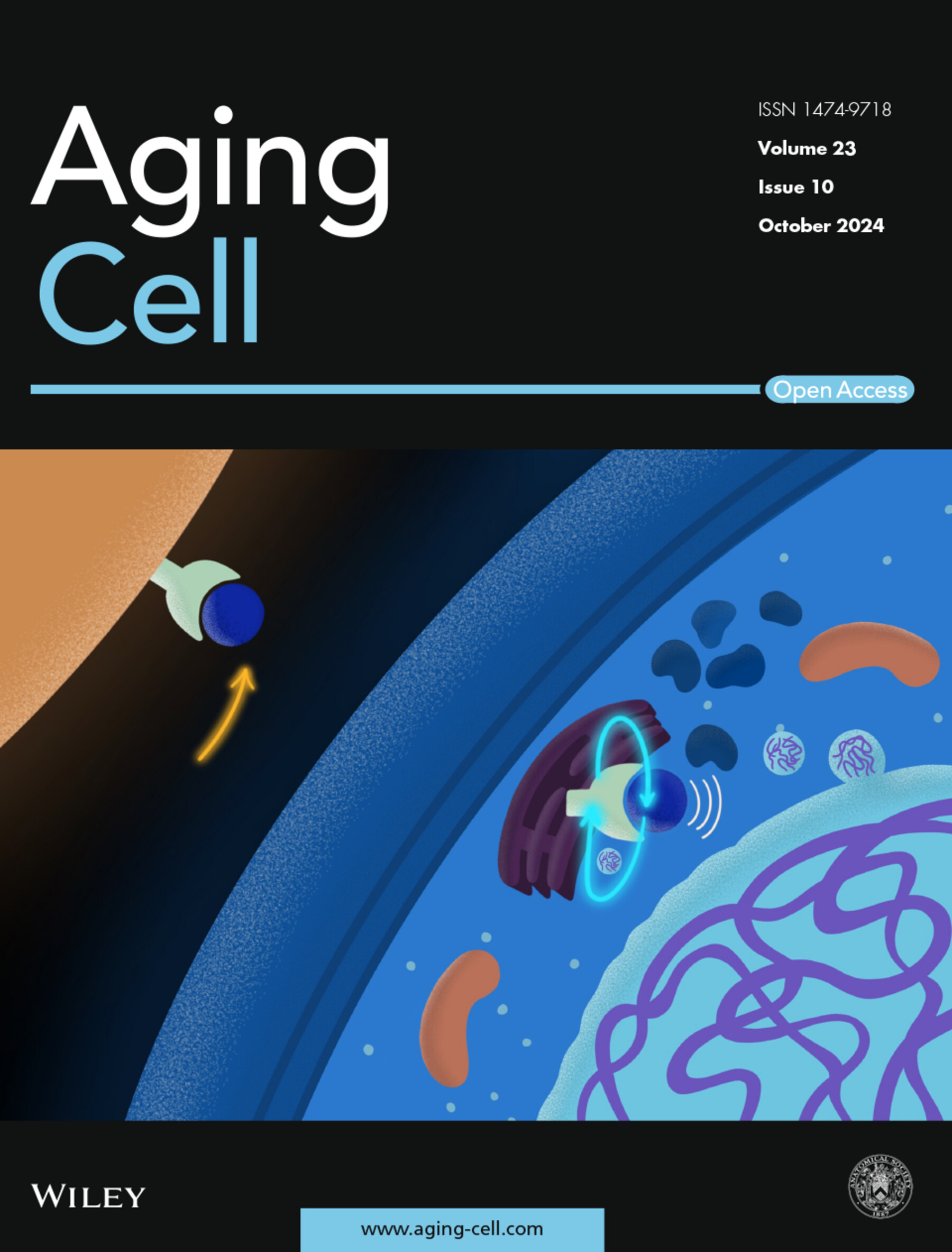 AgeingCell