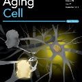 AgingCell