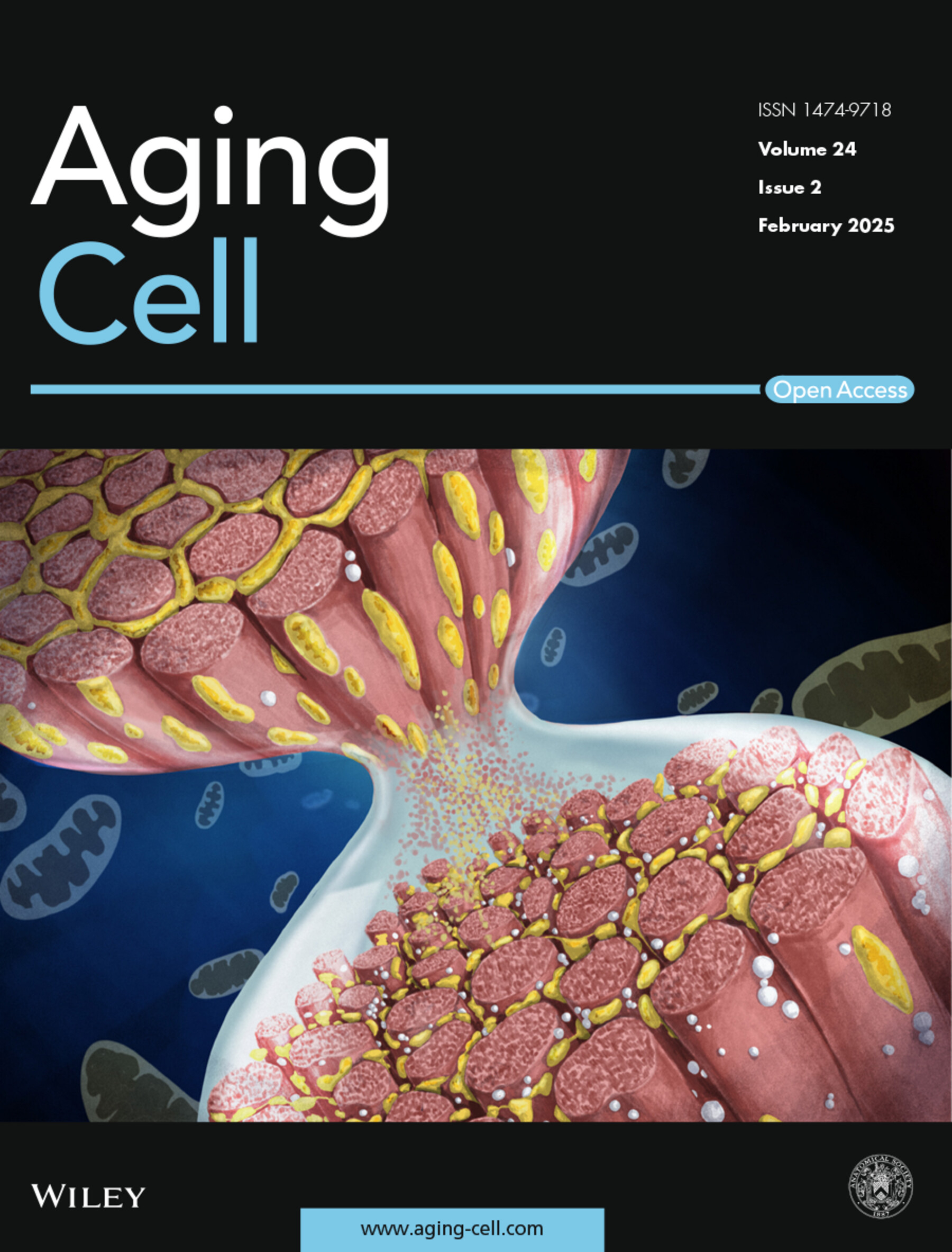 AgingCell_Feb25