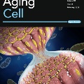 AgingCell_Feb25