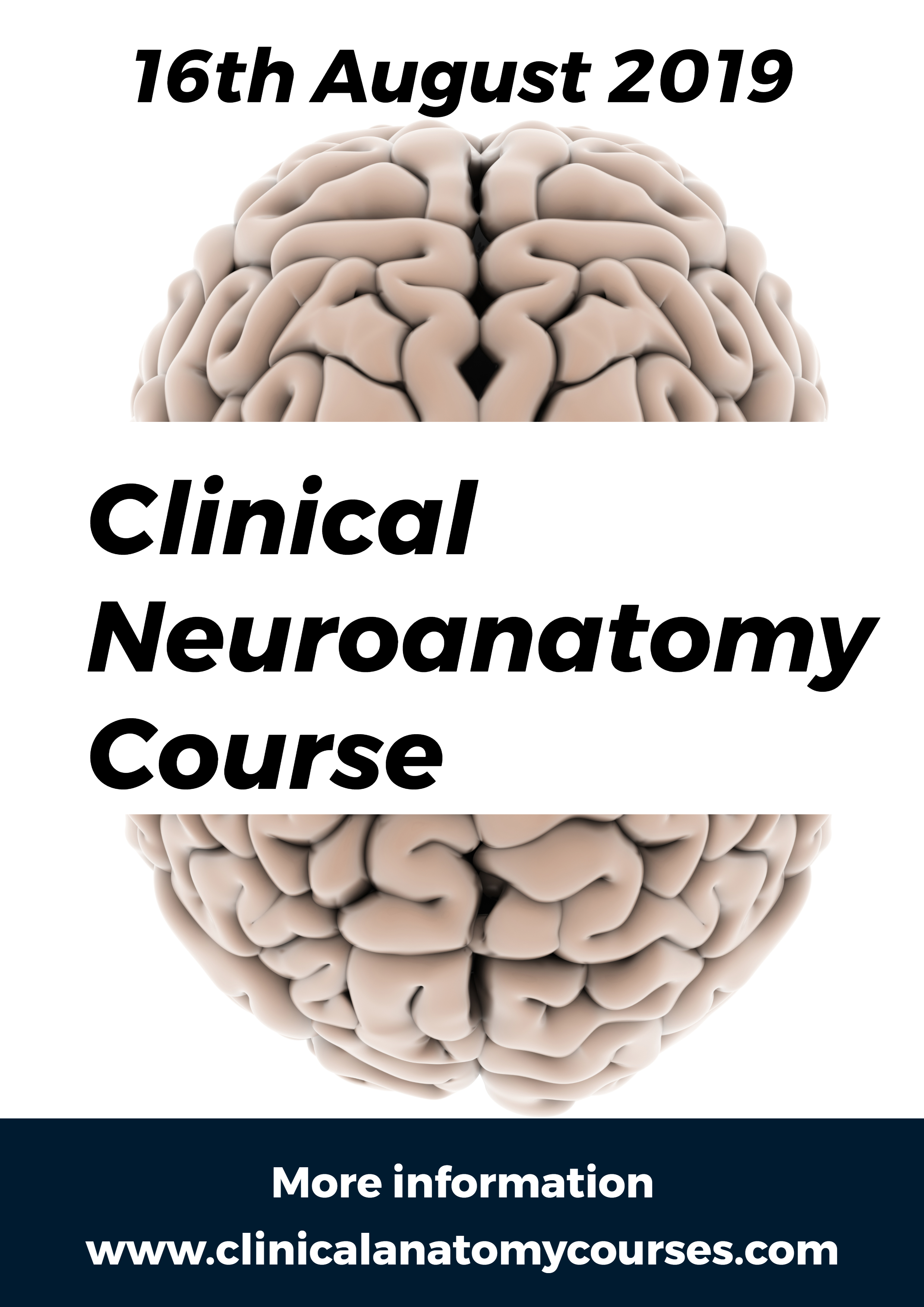 ClinicalneuroanatomyB