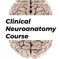 ClinicalneuroanatomyB