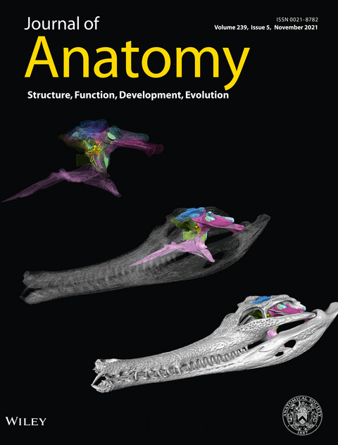 JournalofAnatomyCover