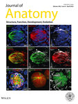 Journal_of_Anatomy_Cover