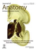 journalofanatomyoct