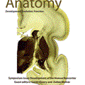 journalofanatomyoct