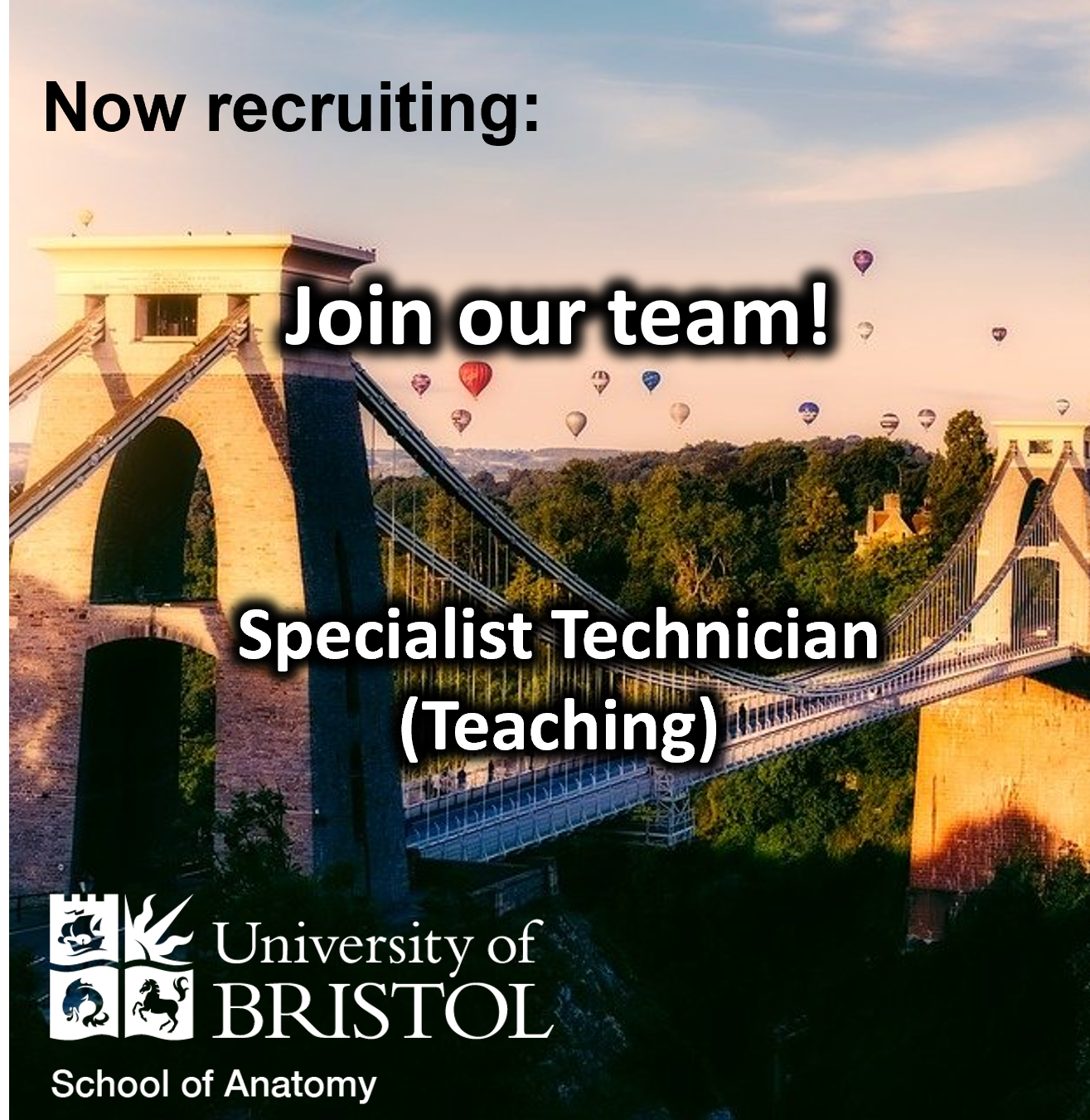 VacancySpecialistTechnicianRoleUniversityofBristol