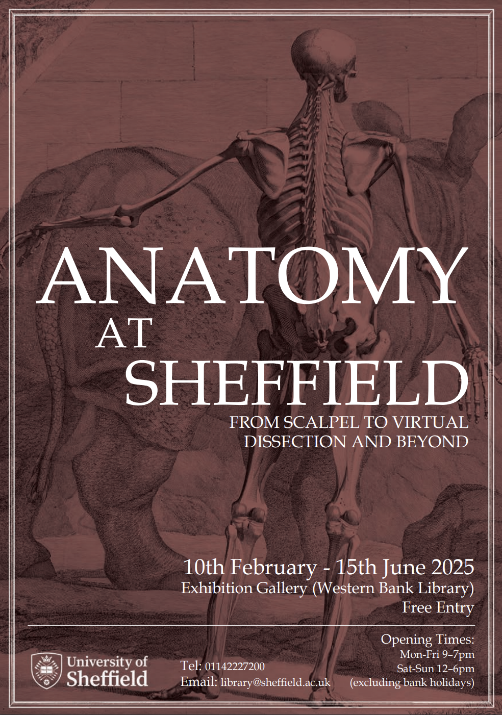 AnatomyatSheffieldpt1