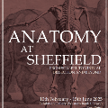 AnatomyatSheffieldpt1