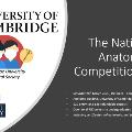 nATIONALaNATOMYcOMP