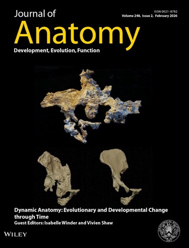 Journal of Anatomy