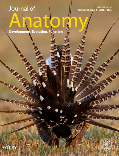 JoA September 2026 Cover Image.jpg