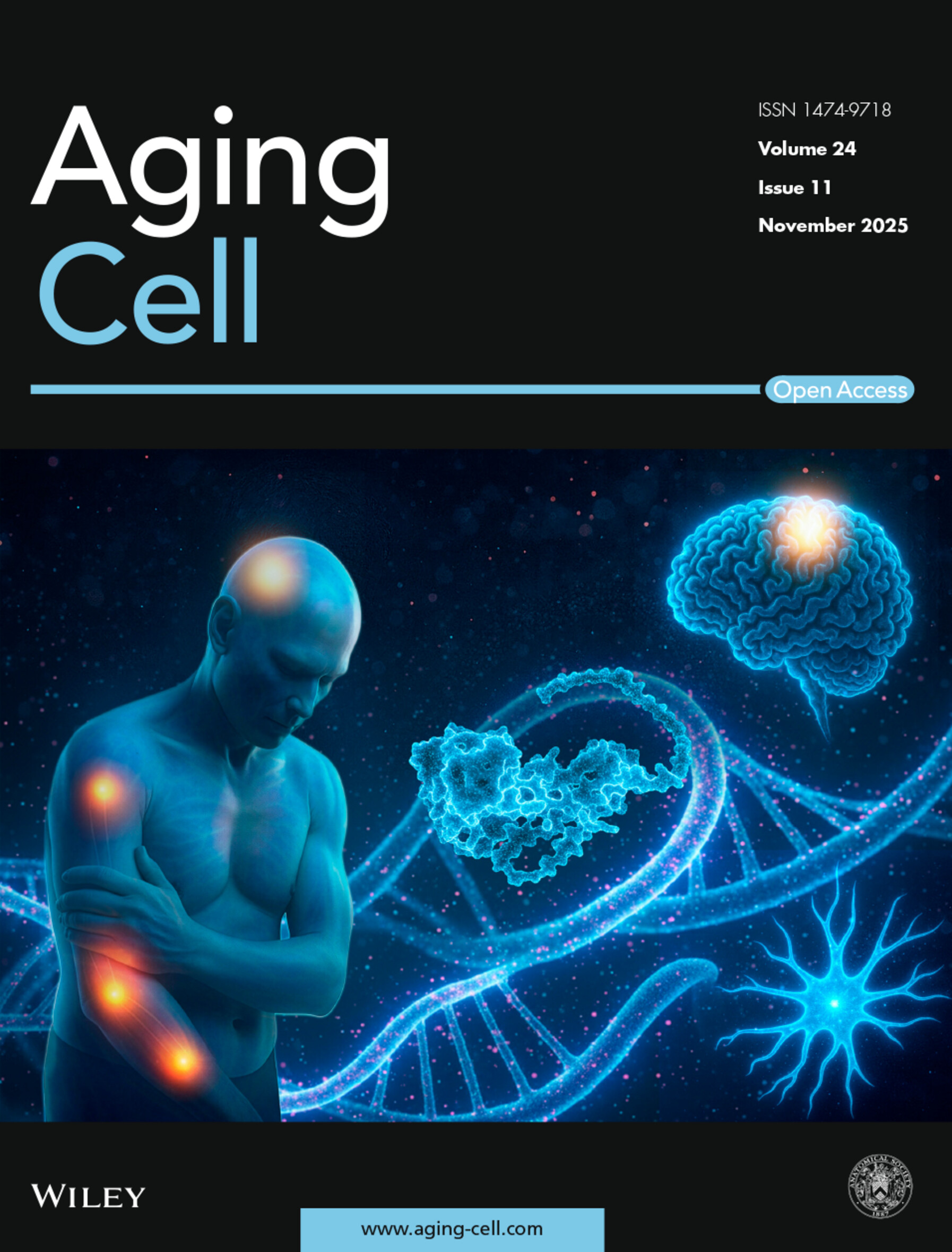 Cover image for the Aging Cell Journal for November 2025 issue