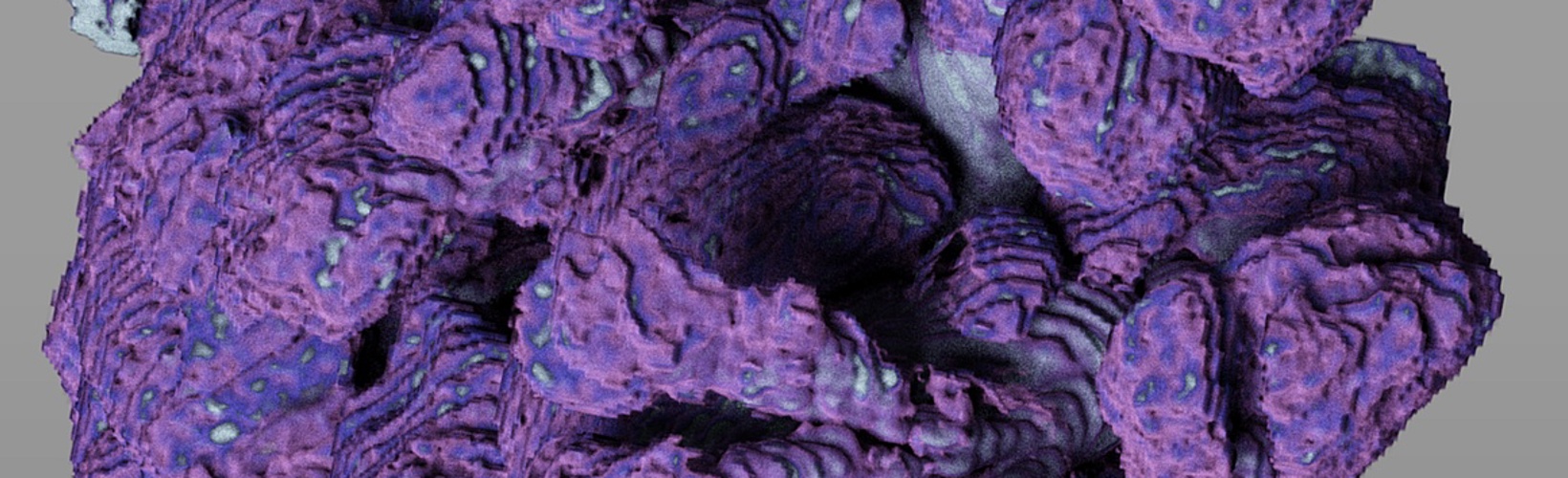 Best Image Award - Science Category