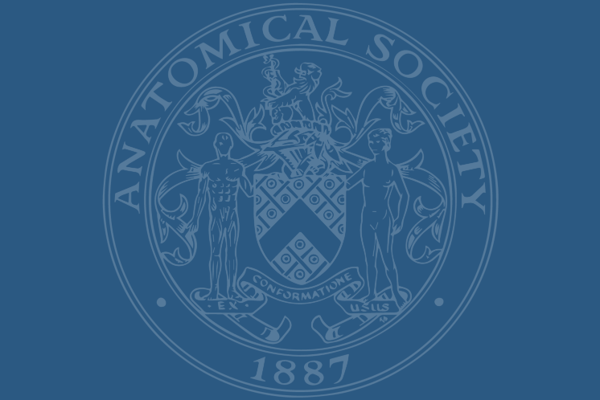 Fresh news from IFAA 2026
