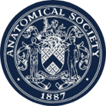 Anotomical Society logo